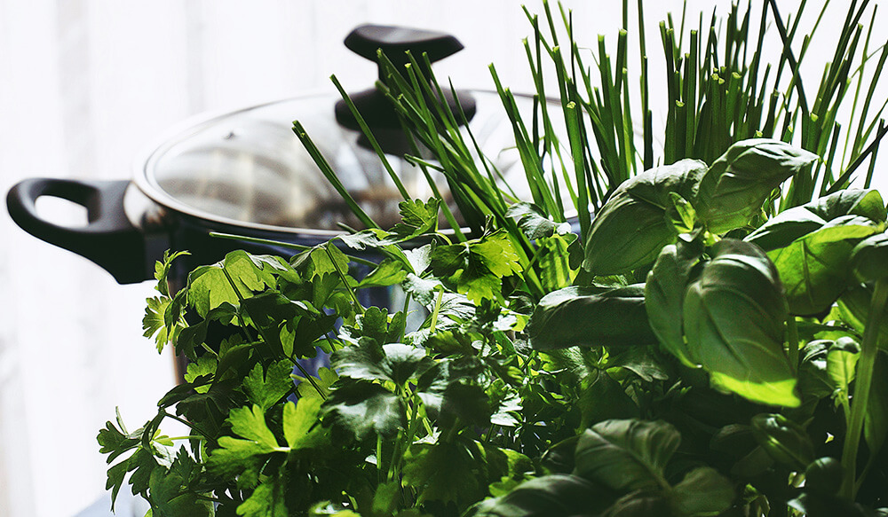 Indoor Herb Garden